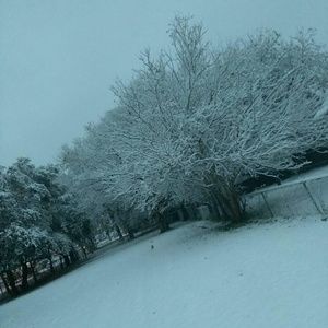 Meet your Posher, Crissy